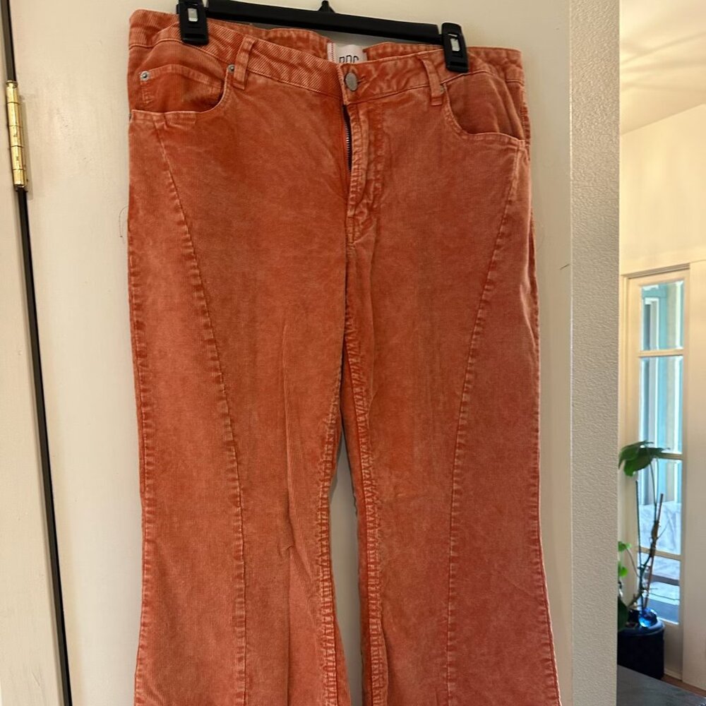 BDG Extreme Flair Pants